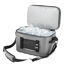 Load image into Gallery viewer, Brass Monkey 15L Soft Cooler
